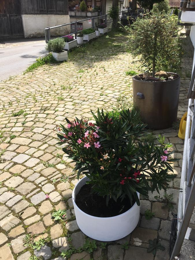 B&B Baeren Rüeggisberg 외부 사진